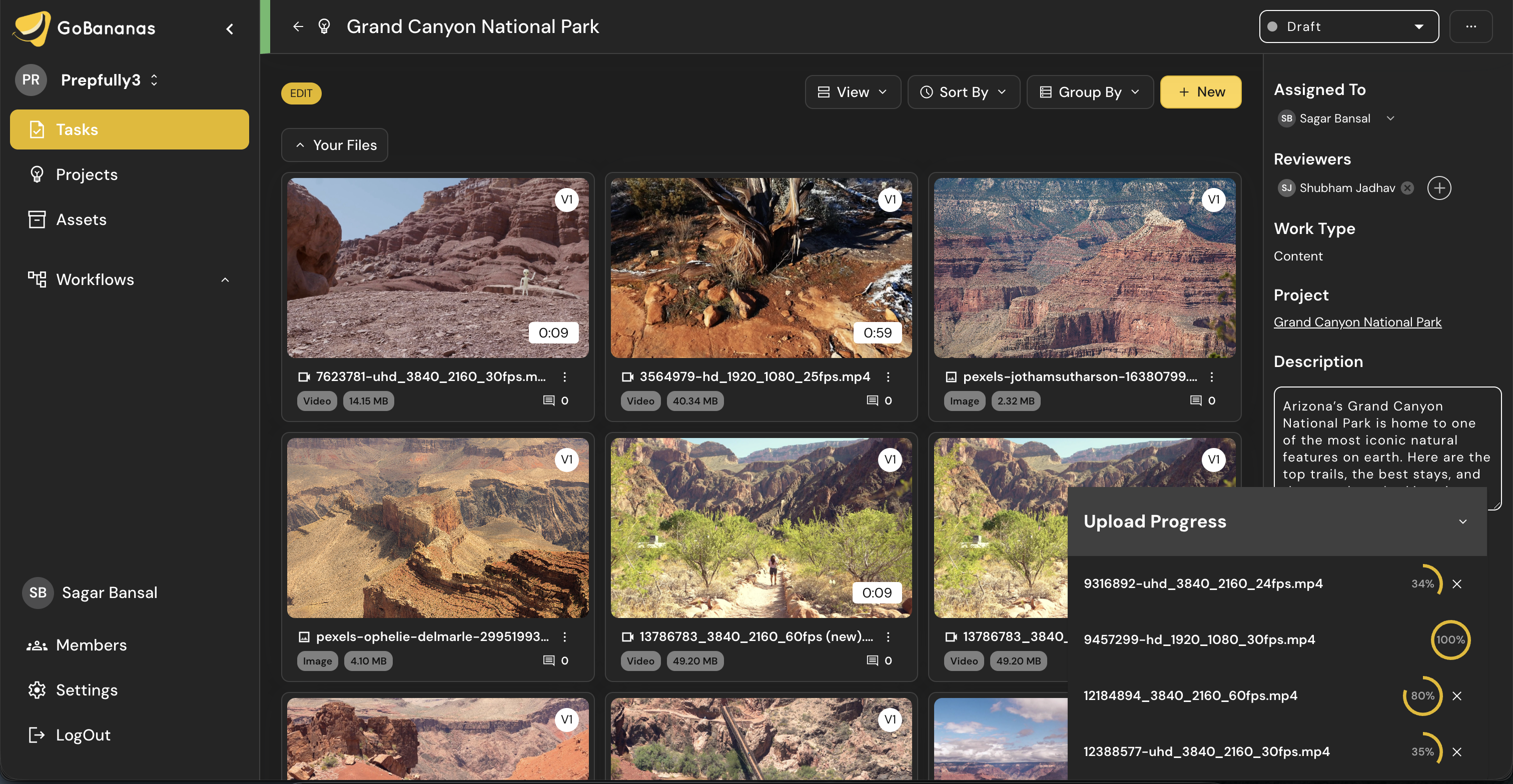 GoBananas workspace — plan, upload, review, and deliver